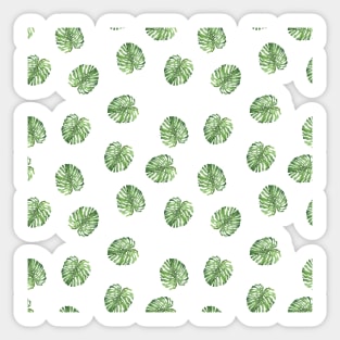 Monstera Plant Pattern Sticker